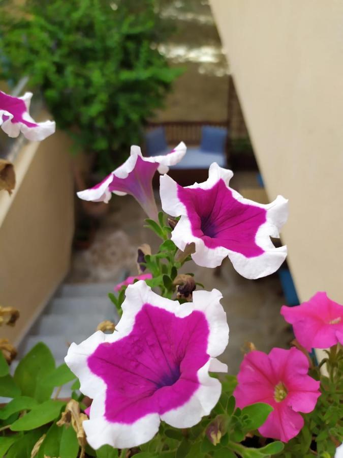Appartamento A 50 Mt Dal Mare Cala Gonone Luaran gambar