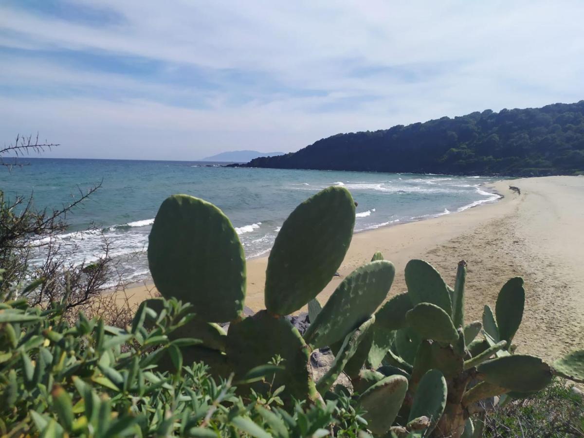 Appartamento A 50 Mt Dal Mare Cala Gonone Luaran gambar