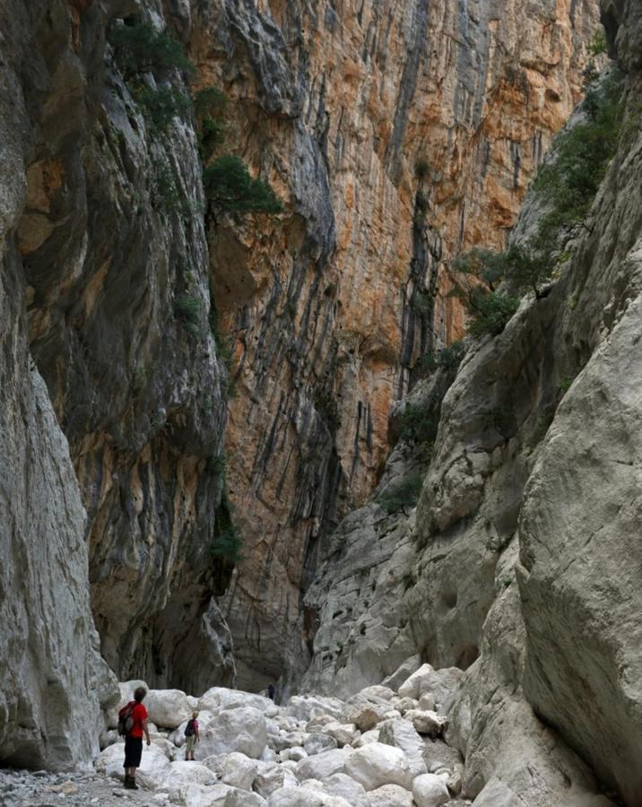 Appartamento A 50 Mt Dal Mare Cala Gonone Luaran gambar
