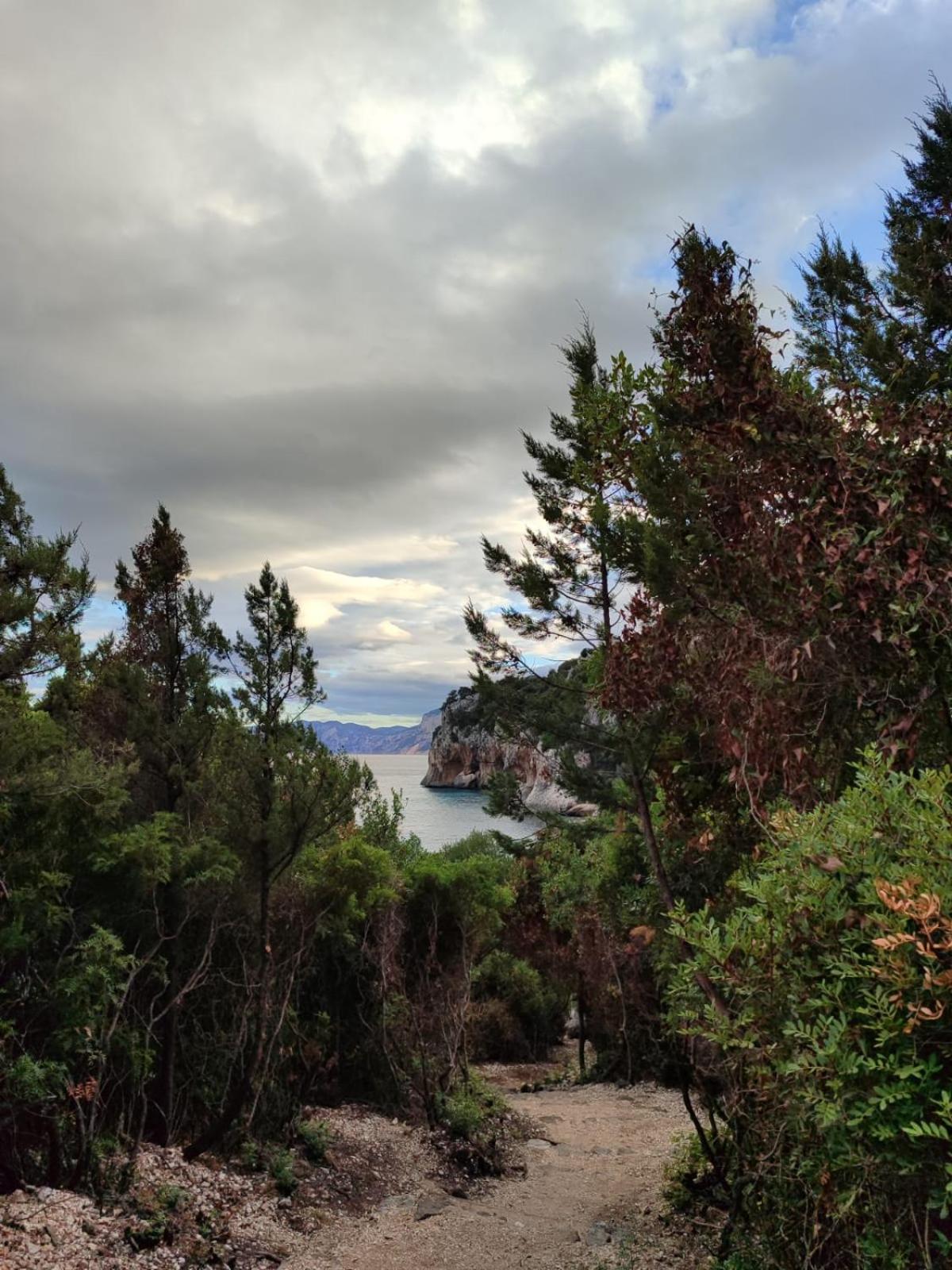 Appartamento A 50 Mt Dal Mare Cala Gonone Luaran gambar